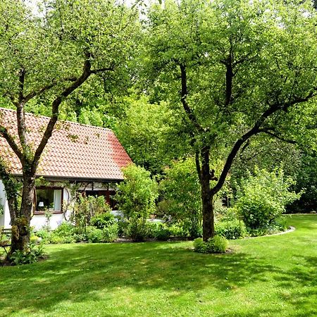 Вилла Kleines Haus Гандеркезее Экстерьер фото